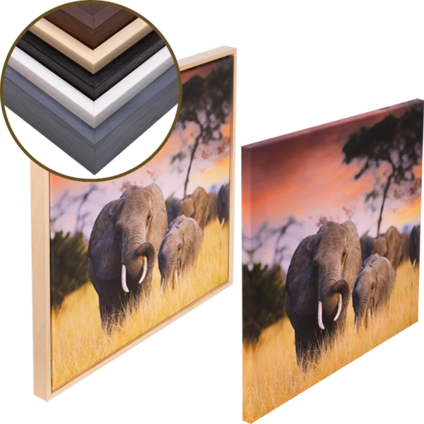 Fine-Art-Leinwandbild – 80 × 80 cm – 2 cm Holzrahmen