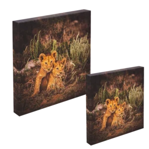 لوحة كانفاس Fine Art – 100 × 100 سم – إطار خشبي 4 سم