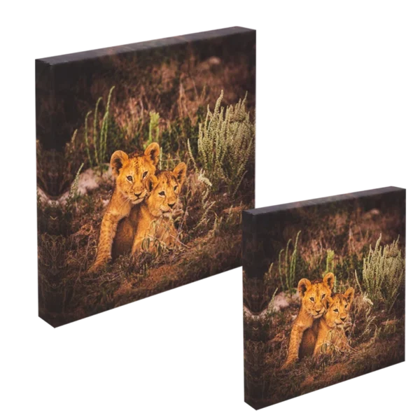 AMN-WMD-WAND-51713 Fine-Art-Leinwandbild – 100 × 100 cm – 4 cm Holzrahmen