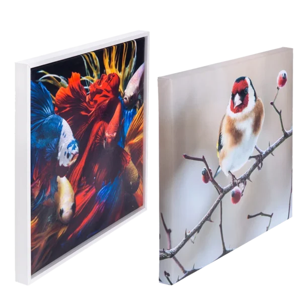 لوحة كانفاس عالية الجودة – 30 × 30 سم – إطار خشبي 2 سم