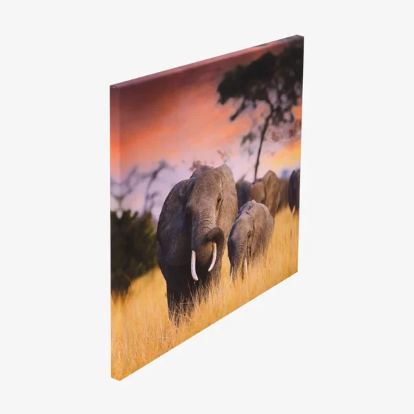 لوحة كانفاس عالية الجودة – 30 × 30 سم – إطار خشبي 2 سم