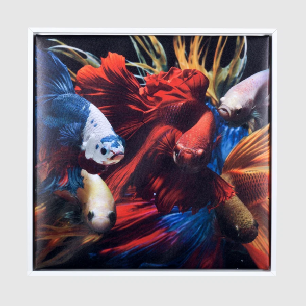 لوحة كانفاس عالية الجودة – 30 × 30 سم – إطار خشبي 2 سم