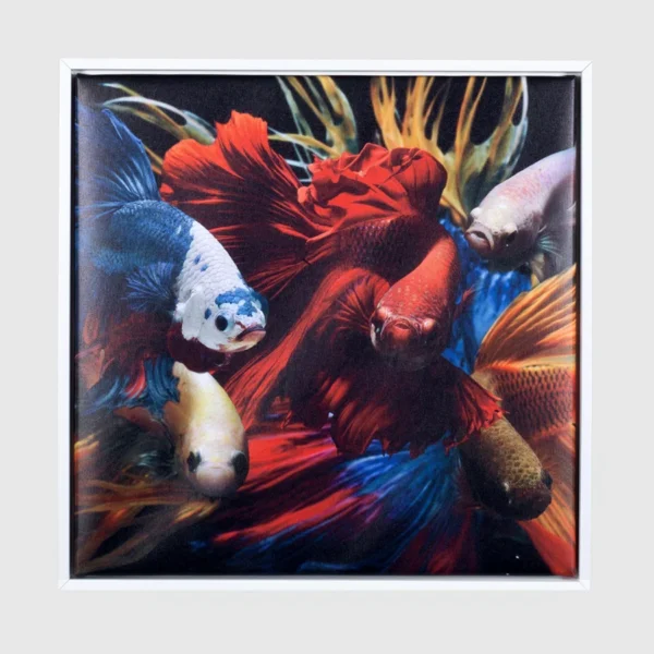 لوحة كانفاس عالية الجودة – 80 × 80 سم – إطار خشبي 2 سم