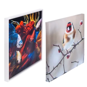 لوحة كانفاس عالية الجودة – 100 × 100 سم – إطار خشبي 2 سم