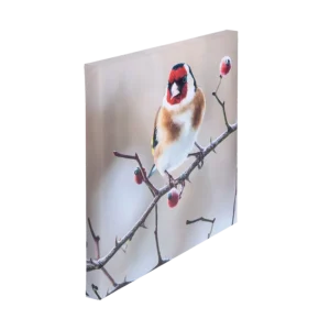 لوحة كانفاس عالية الجودة – 30 × 30 سم – إطار خشبي 5 سم