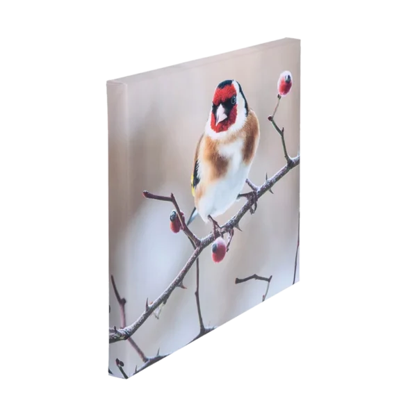 لوحة كانفاس عالية الجودة – 30 × 30 سم – إطار خشبي 5 سم
