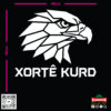 zag-stk-036-xorte-kurd-eagle-car-sticker-03 zag-stk-036-xorte-kurd-eagle-car-sticker-03