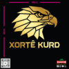 zag-stk-036-xorte-kurd-eagle-car-sticker-06 zag-stk-036-xorte-kurd-eagle-car-sticker-06